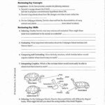 Darwin And The Galapagos Islands Worksheet Printable Worksheets Are A