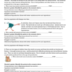 Darwin Natural Selection Worksheet