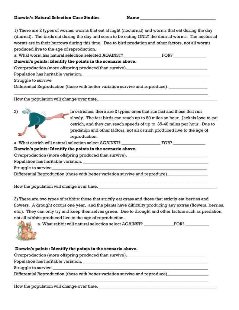 Darwin Natural Selection Worksheet