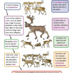 Darwin s Natural Selection Worksheets Answers