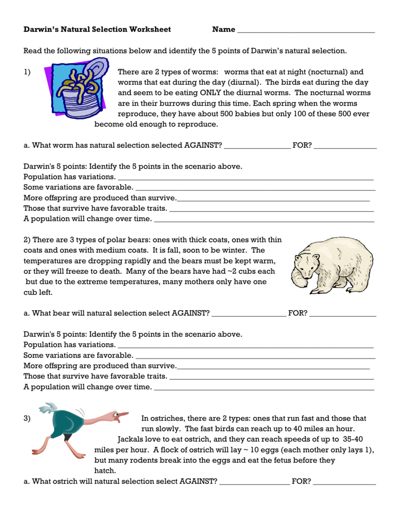 Darwins Natural Selection Worksheet