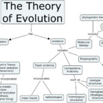 Darwins Theory Of Evolution Worksheet