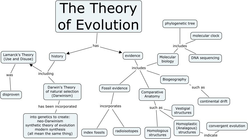 Darwins Theory Of Evolution Worksheet