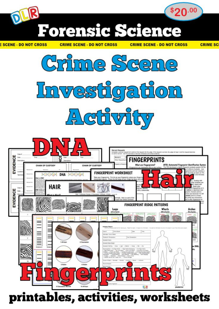 Dna Fingerprinting In Forensics Worksheet Answers