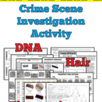 Dna Fingerprinting In Forensics Worksheet Answers