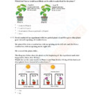 Download Grade 2 Science Olympiad Sample Papers As PDF Worksheets On