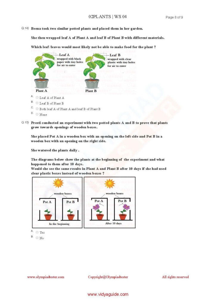 Download Grade 2 Science Olympiad Sample Papers As PDF Worksheets On 