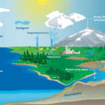 Earth s Water Movements PBS LearningMedia