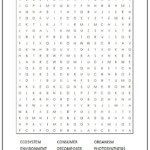 Ecosystem 3rd Grade Worksheet