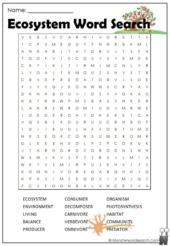 Ecosystem 3rd Grade Worksheet