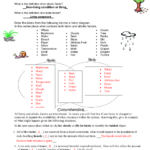 Ecosystem Worksheet With Answers