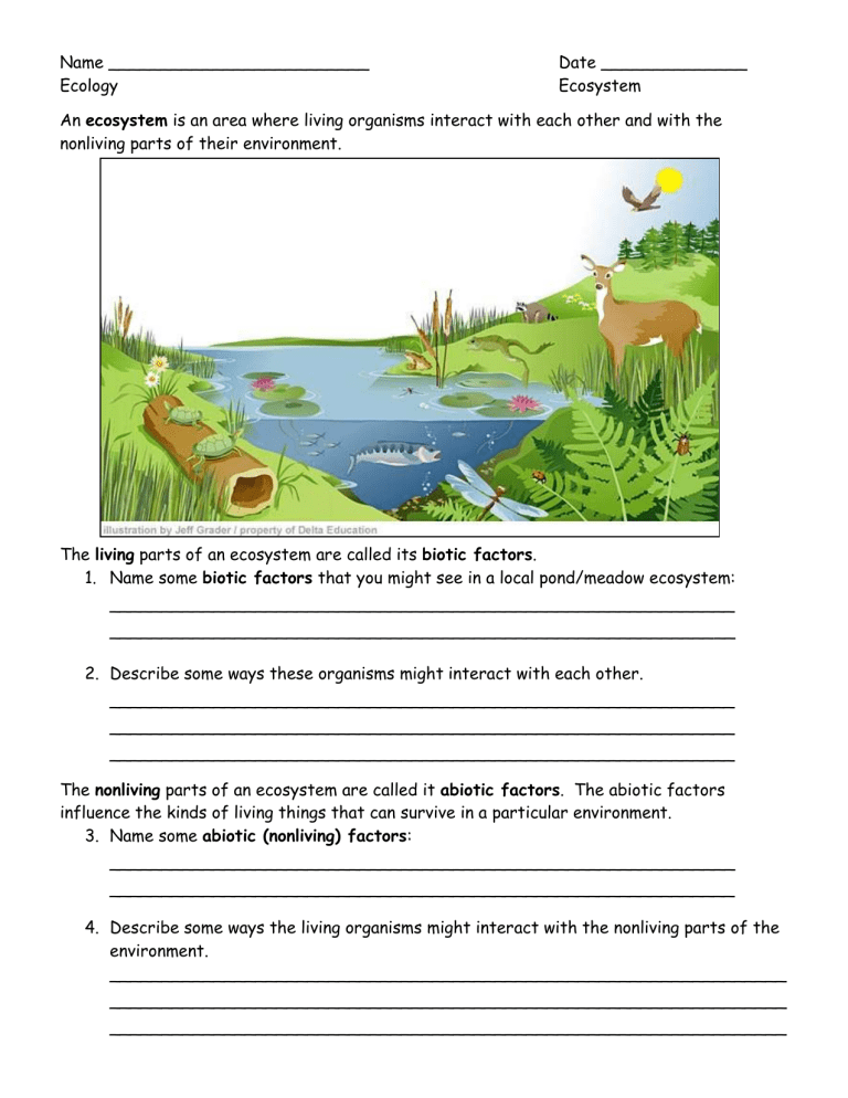 Ecosystems And Biomes Worksheets Pdf