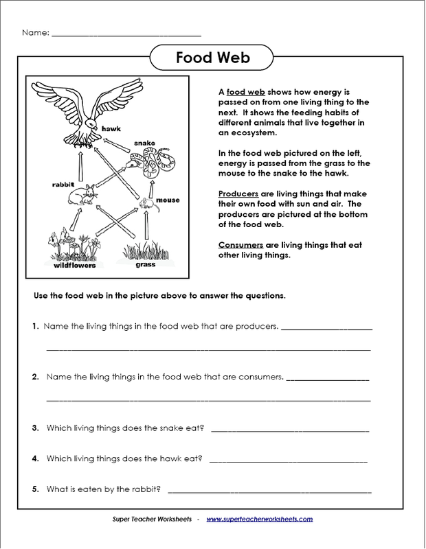 Food Chain Worksheet 4th Grade