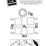 Food Chain Worksheet Grade 4