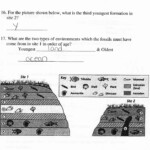 Fossils And Relative Dating Worksheet