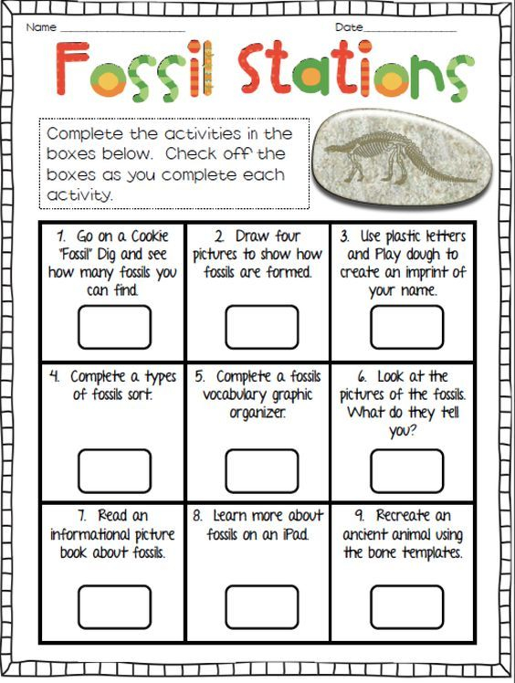Fossils Worksheet 5th Grade