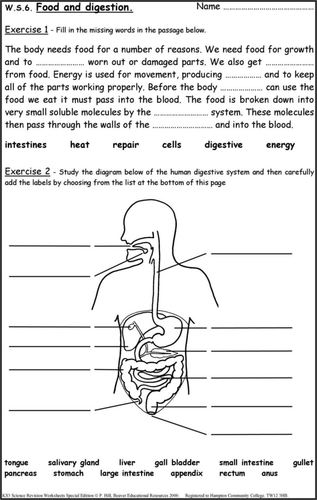 Free 7th Grade Science Worksheets Pdf