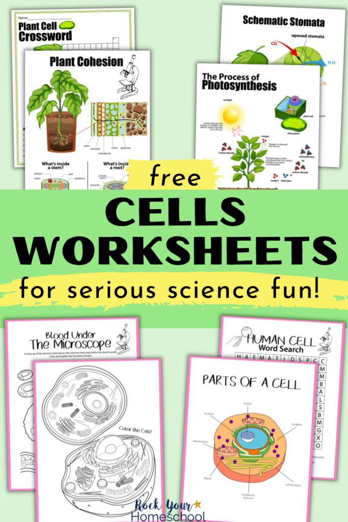 Free Cells Worksheets For Super Fun Science Activities For Kids