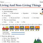 FREE Interactive Worksheet On Living And Non Living Things For Class 3