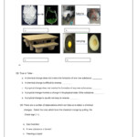 Free Printable 7th Grade Science Worksheets