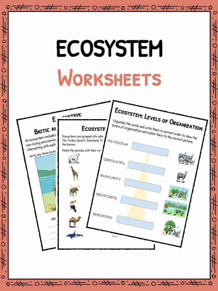 Free Printable Ecosystem Worksheets Pdf - Scienceworksheets.net