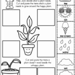 Free Printable Kindergarten Science Worksheet