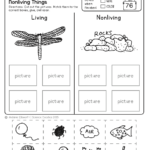 Free Science Worksheets Kindergarten