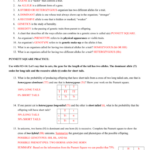 Genetics The Science Of Heredity The Test Cross Worksheet Answers Db