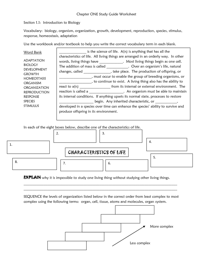 Glencoe Mcgraw Hill Science Grade 7 Worksheets Answers 