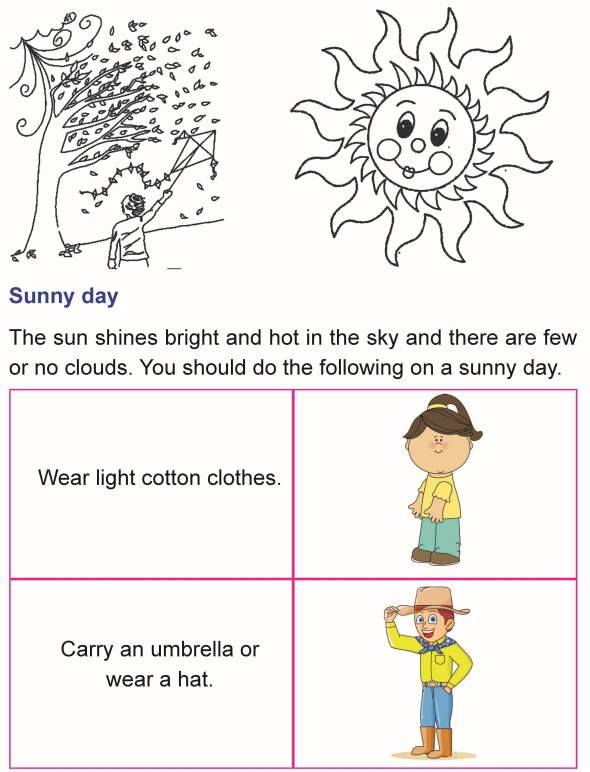 Grade 1 Science Lesson 13 Our Weather Primary Science