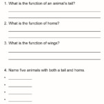 Grade 1 Science Lesson 4 Body Parts Of Animals Primary Science