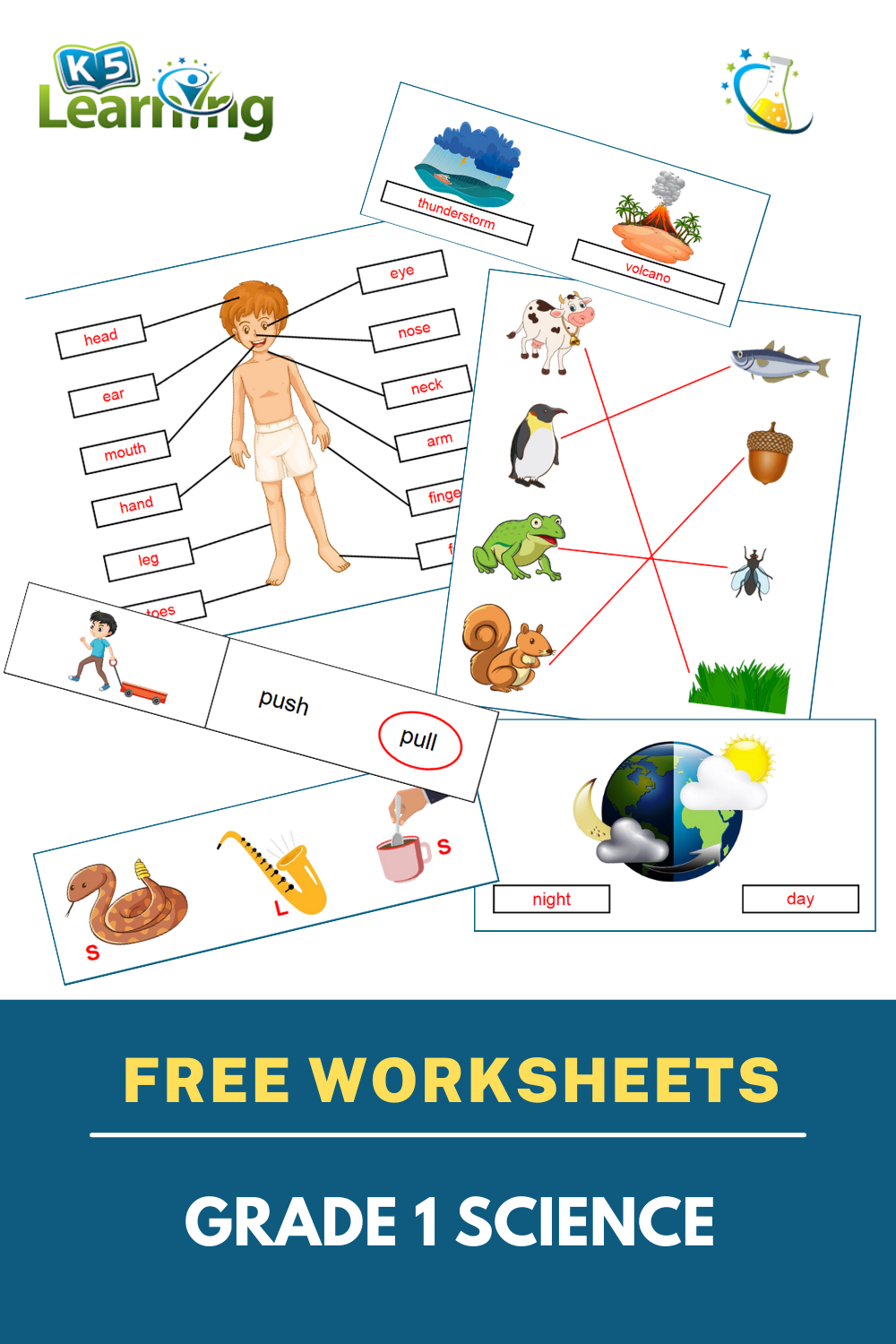 Grade 1 Science Worksheets Science Worksheets 1st Grade Worksheets