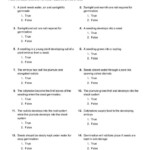 Grade 4 Science Worksheets With Answers