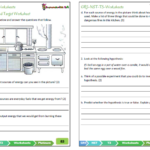 Grade 5 Natural Sciences Technology Term 3 NST Platinum