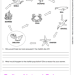 Grade 6 Online Natural Science Worksheets Foodwebs For More