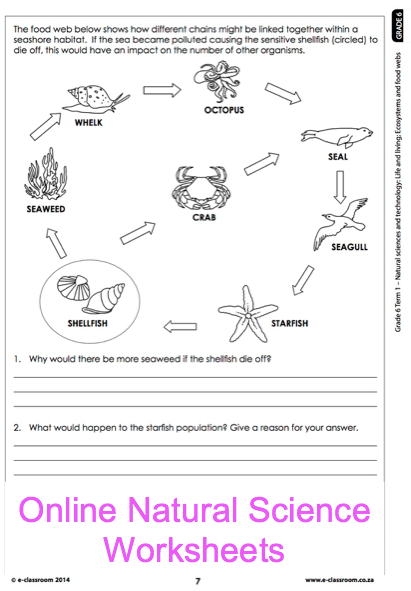 Grade 6 Online Natural Science Worksheets Foodwebs For More 