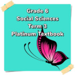 Grade 6 Social Sciences Geography History Term 3 SS Platinum