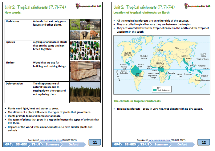 Grade 6 Social Sciences Geography History Term 3 Ss Platinum 