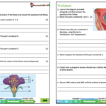 Grade 7 Natural Science NS Term 1 Platinum Classroom101