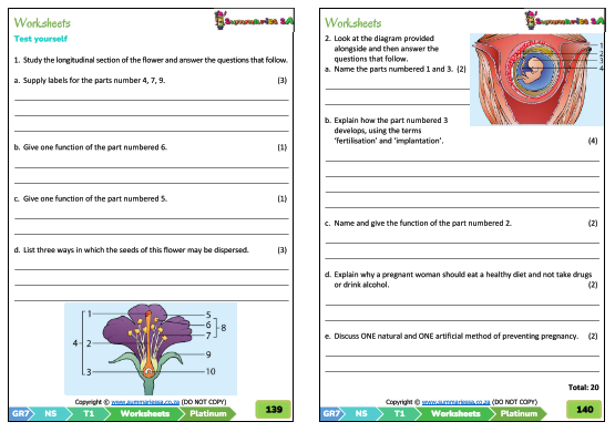 Grade 7 Natural Science NS Term 1 Platinum Classroom101