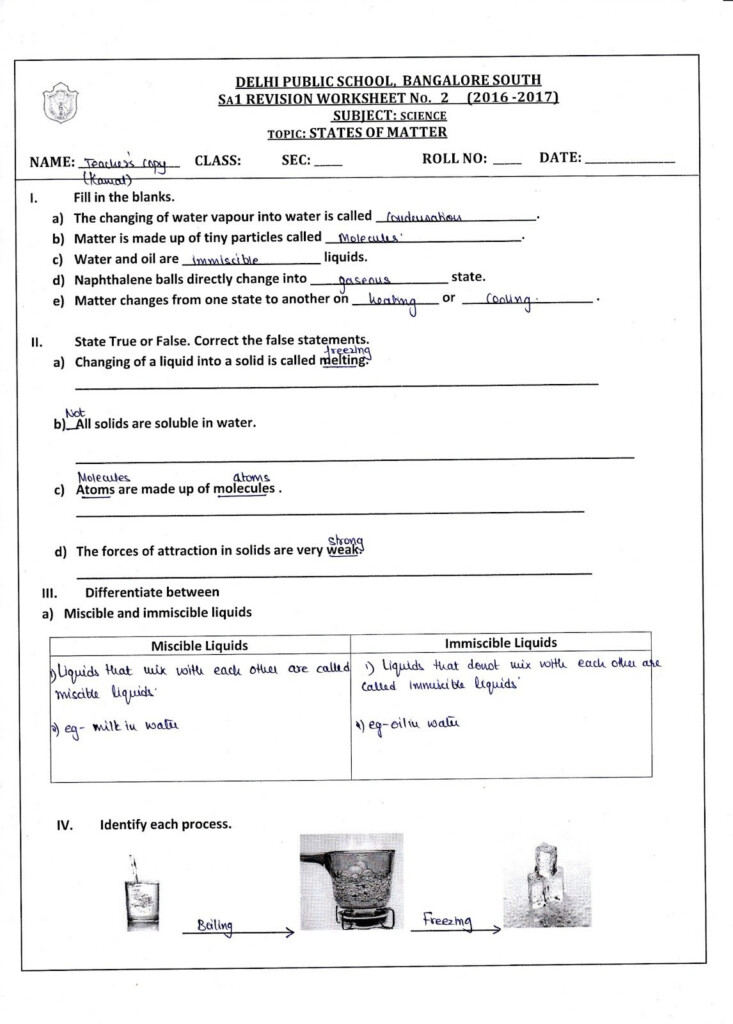 Grade 8 Science Worksheets With Answers