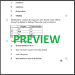 Grade 9 Physical Science Worksheets Worksheets For Kindergarten