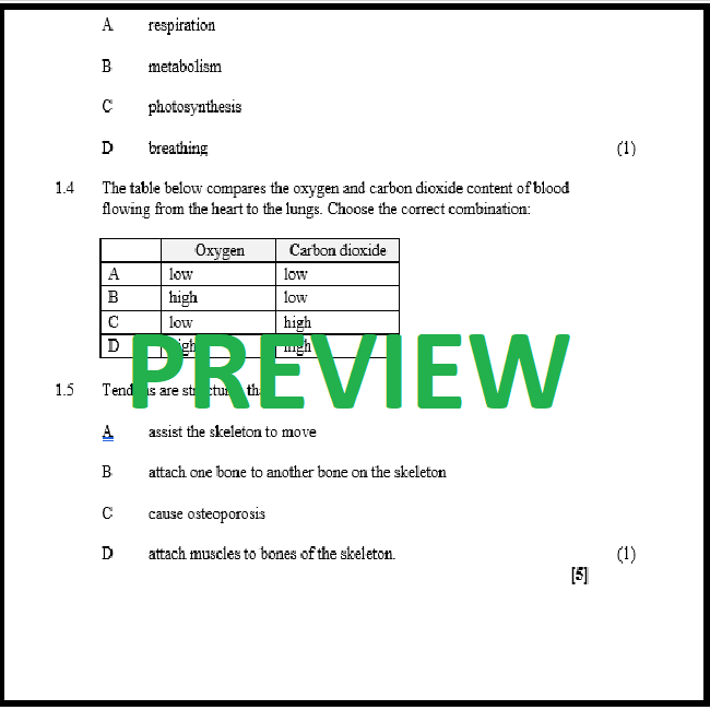 Grade 9 Physical Science Worksheets Worksheets For Kindergarten