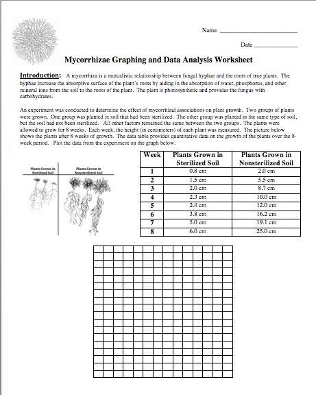 Graphing Scientific Data Worksheet Answers