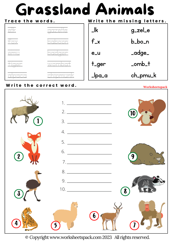 Grassland Animals Worksheets PDF Worksheetspack