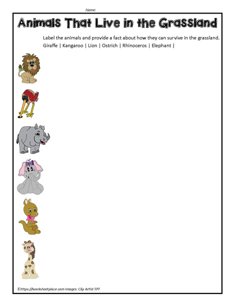 Grassland Animals Worksheets