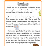 Grasslands Life Science Reading Comprehension Worksheet Have Fun Teaching