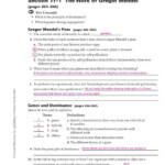 Gregor Mendel Worksheet Answers