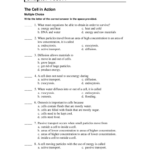 Holt Science And Technology Answer Key Fill Out Sign Online DocHub