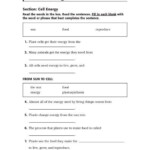 Holt Science And Technology Directed Reading A Worksheets Answers